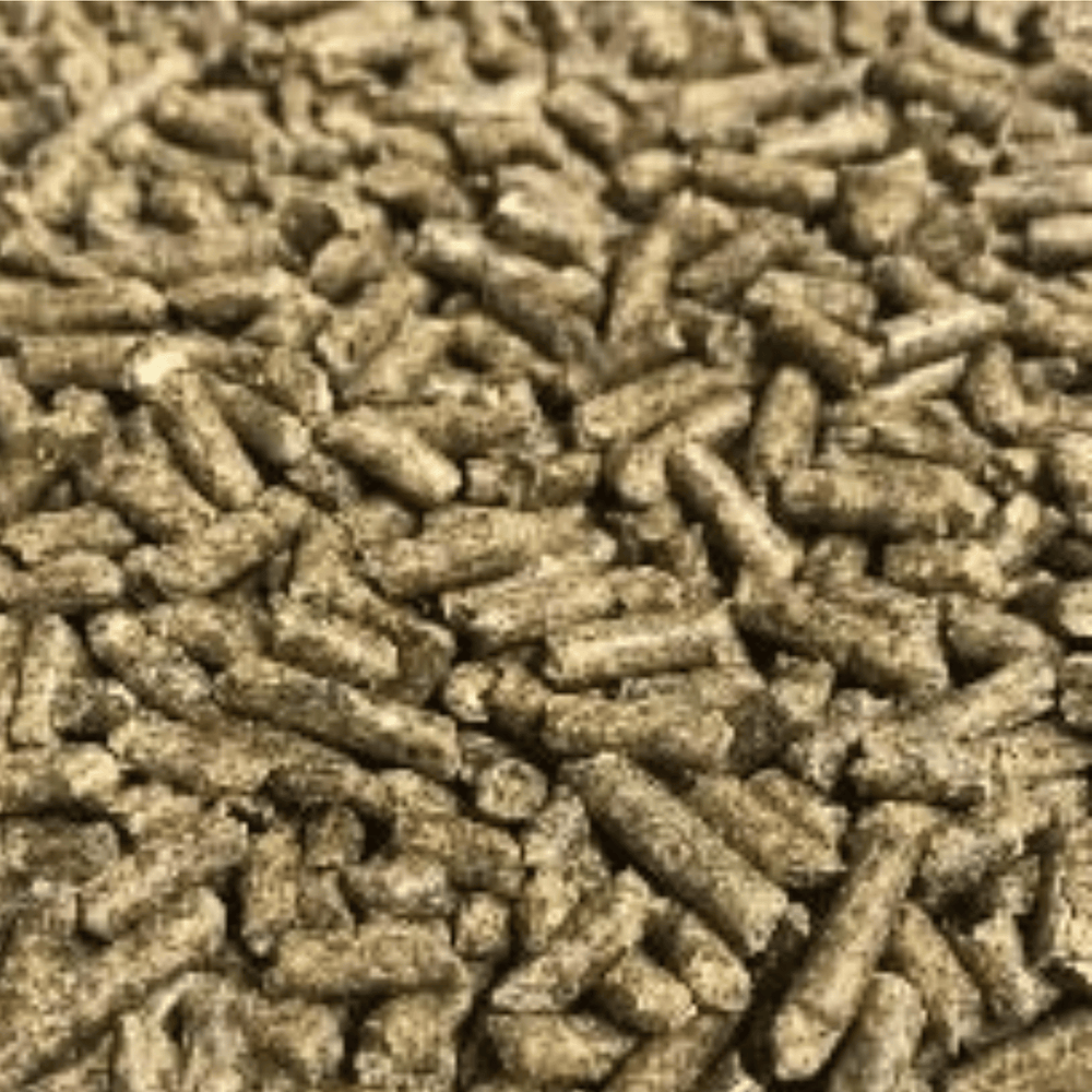 Bluebonnet Rewind Joint