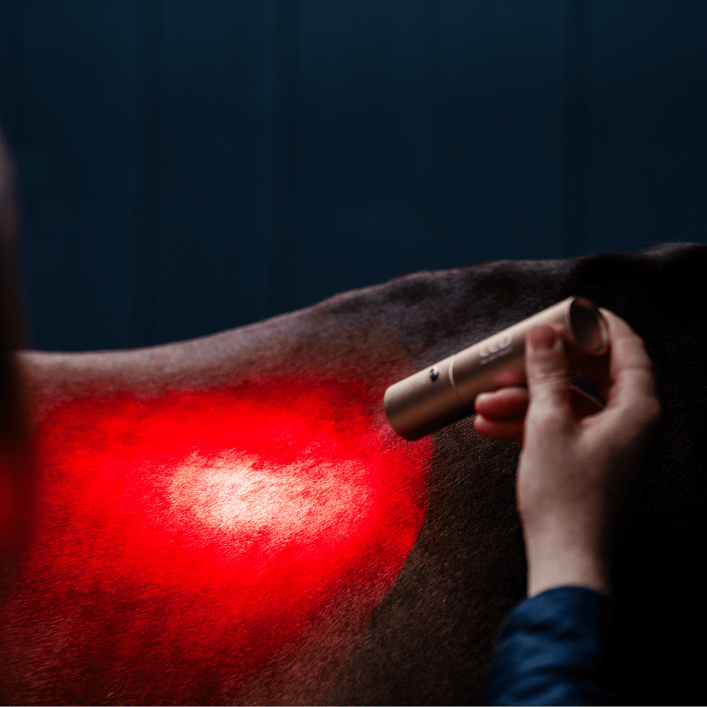 Horseware Ireland LED Red Light Therapy Wand