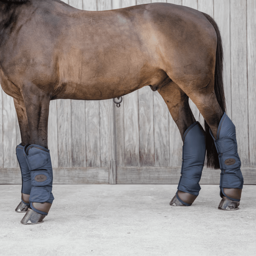 Kentucky Horsewear Travel Boots