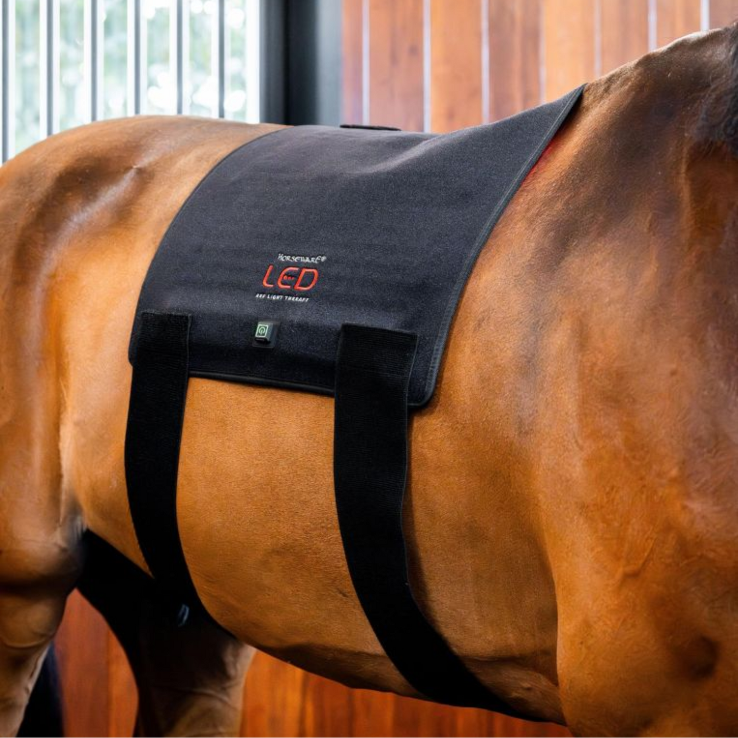 Horseware Ireland Red Light Back Pad