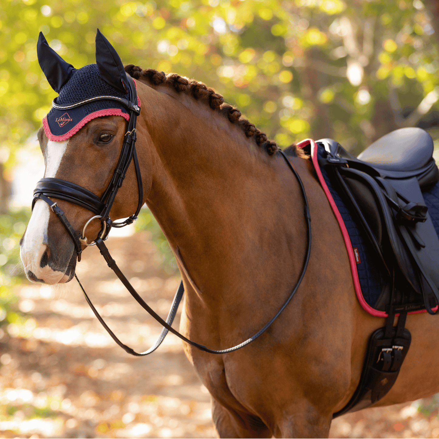 LeMieux Classic Ear Bonnet