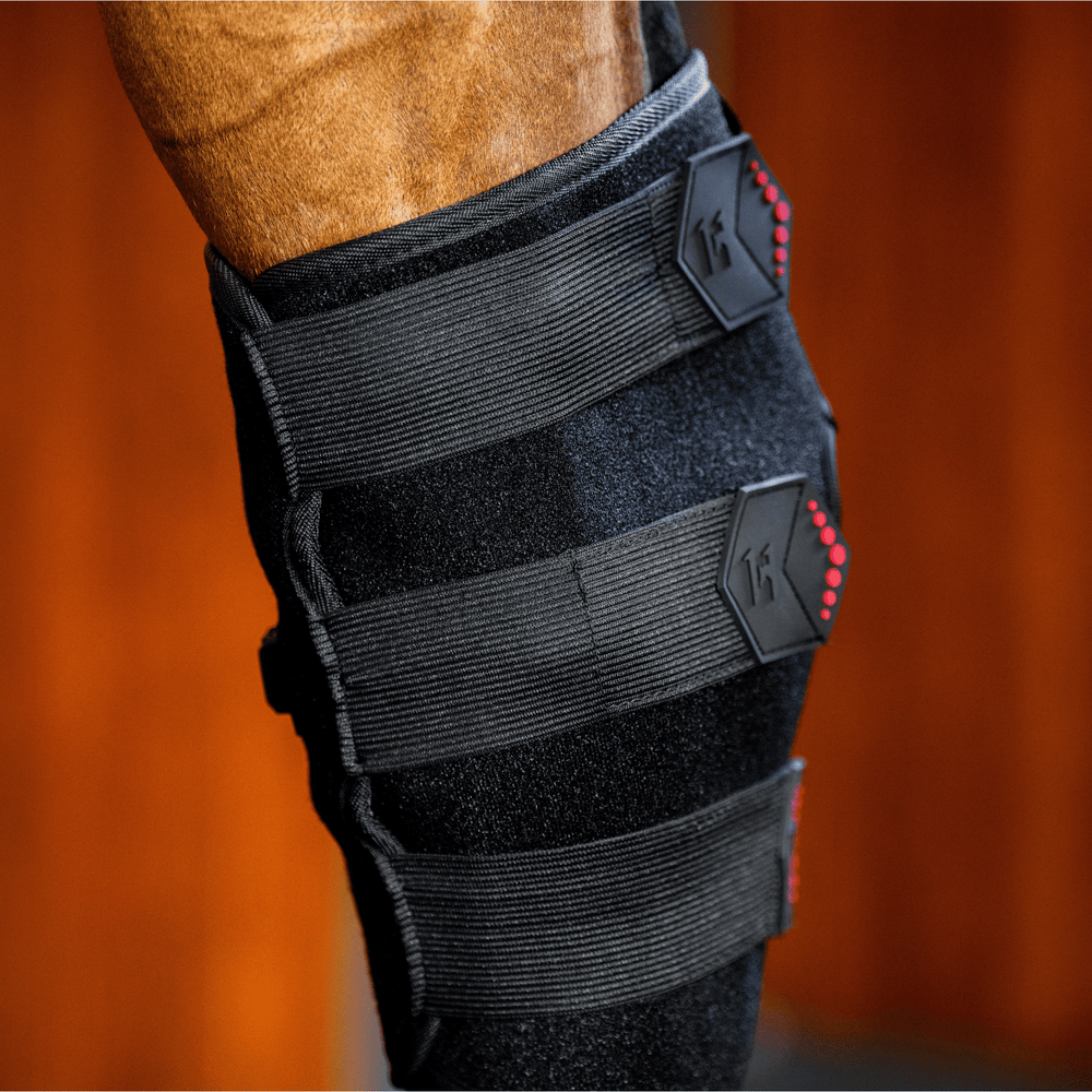 Horseware Ireland LED Red Light Hock Boot