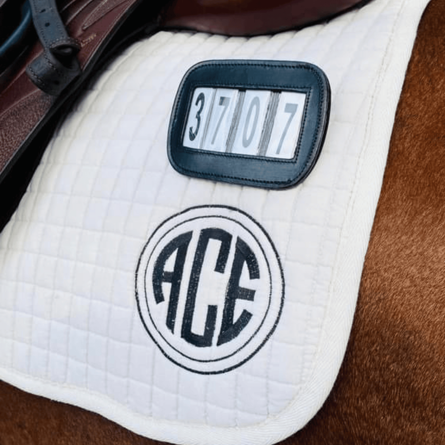 Ace PRO4MANCE Number ID