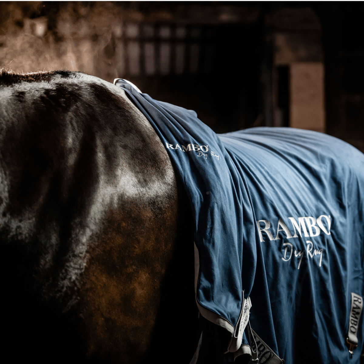 Rambo Dry Rug Supreme (No Fill)