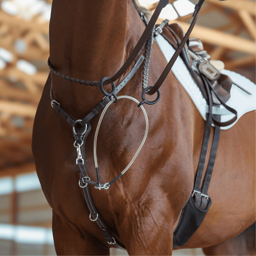 The Zentora SofTTurn Martingale