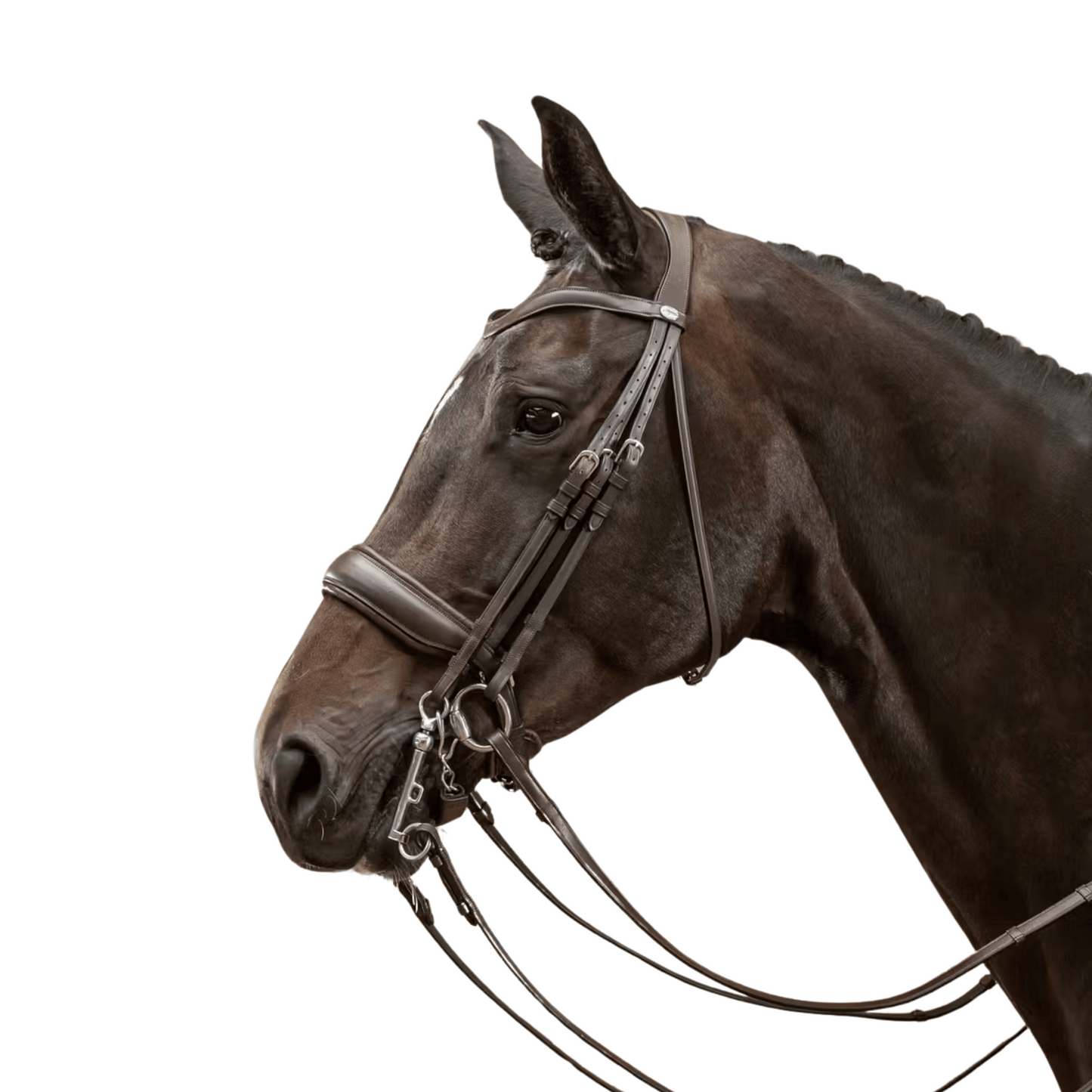 Dy'on Matte Large Crank Noseband Double Bridle