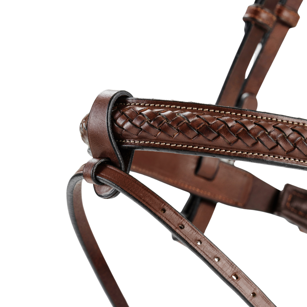 Bhoof Bridle 1 - Braided