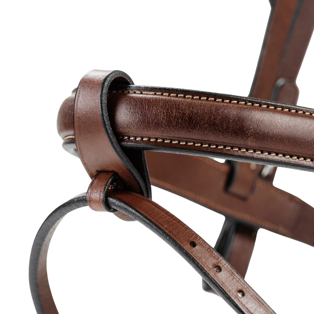 Bhoof Bridle 1 - Flash