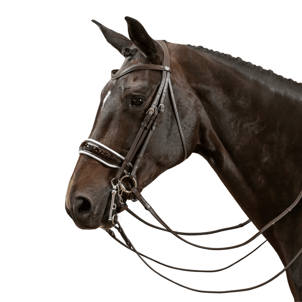 Dy'on Patent Large Crank Noseband with White Padding Double Bridle