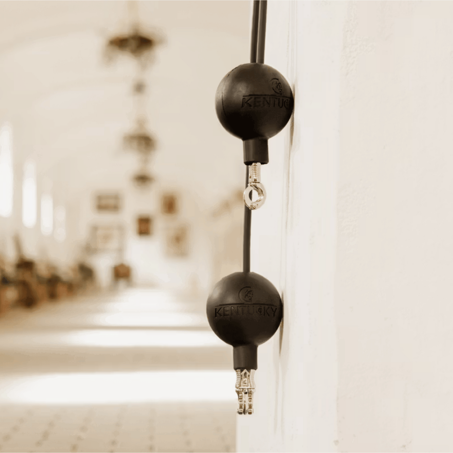 Kentucky Horsewear Lead & Wall protection rubber ball