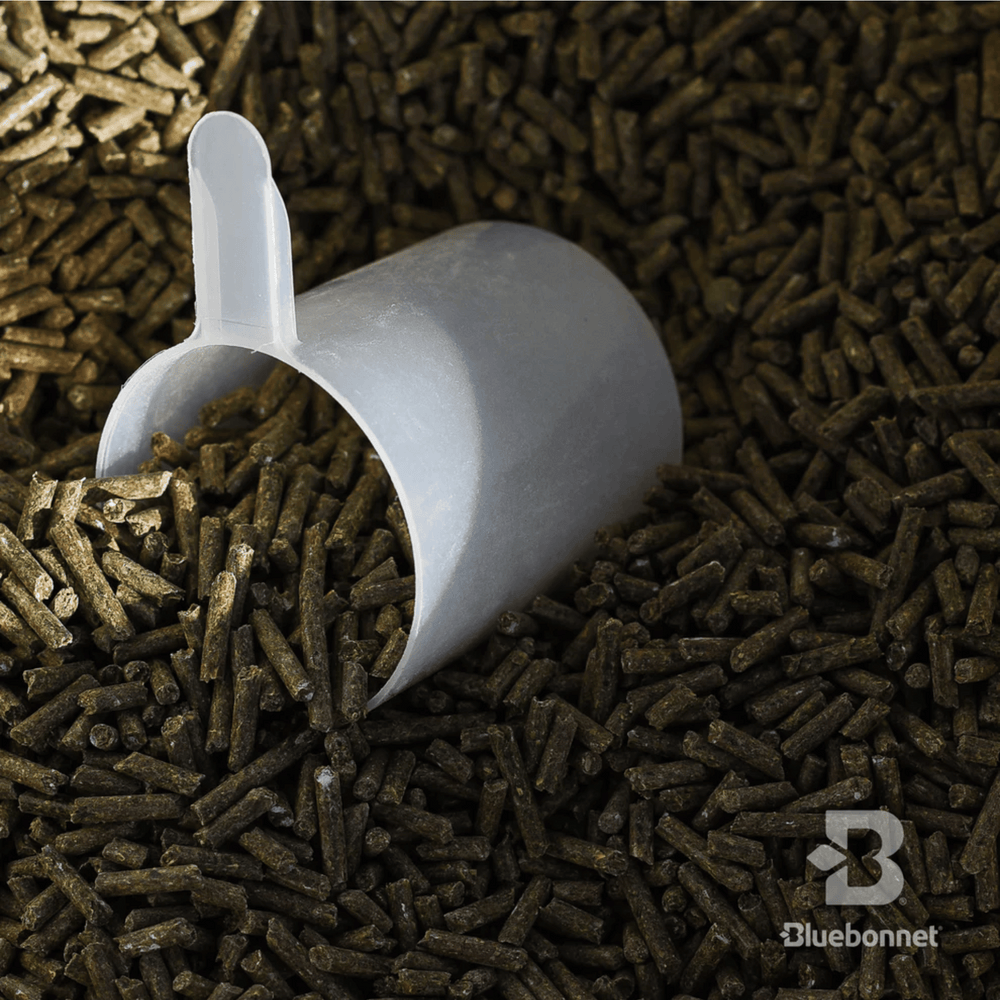 Bluebonnet Pro Balance