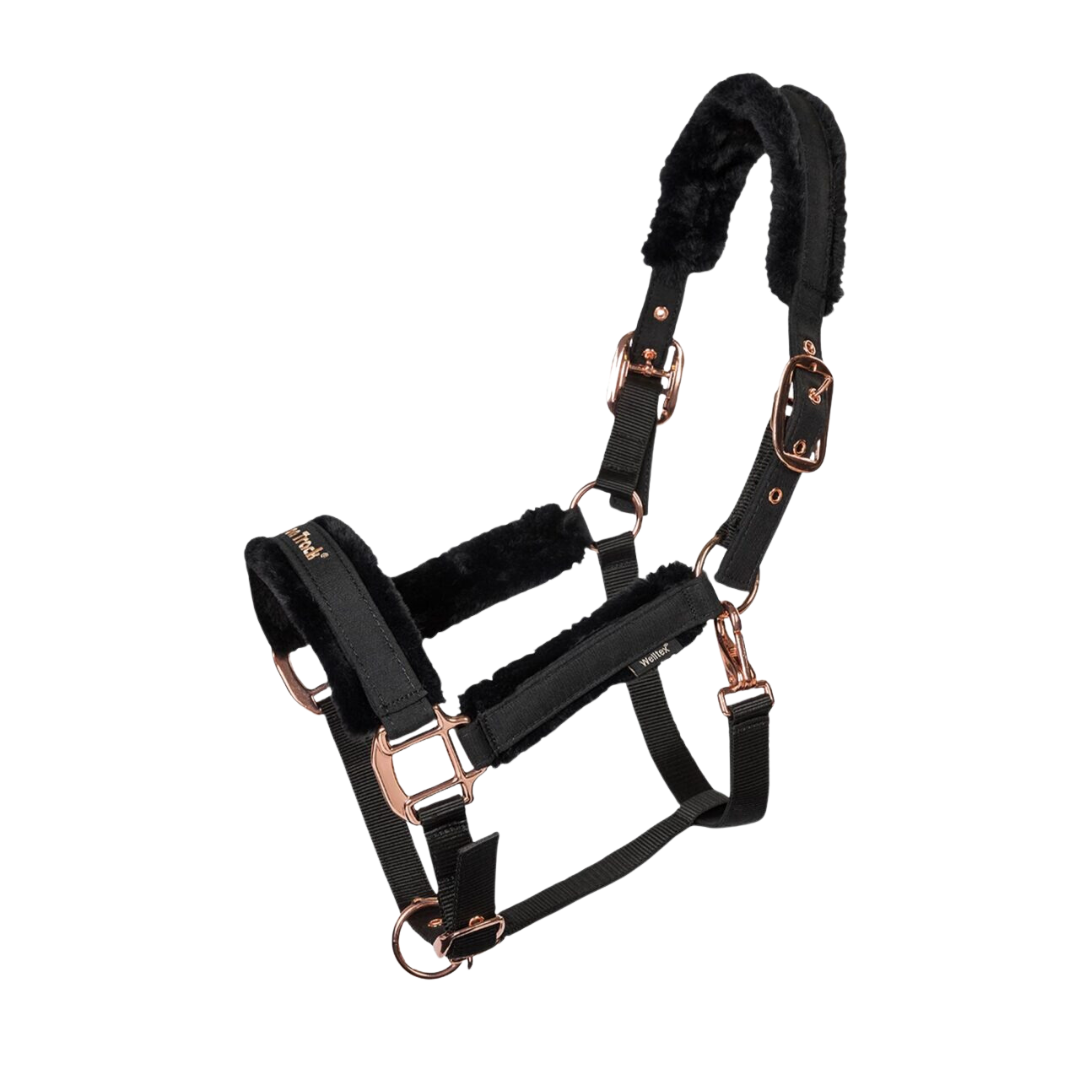 Back on Track Haze Collection Halter