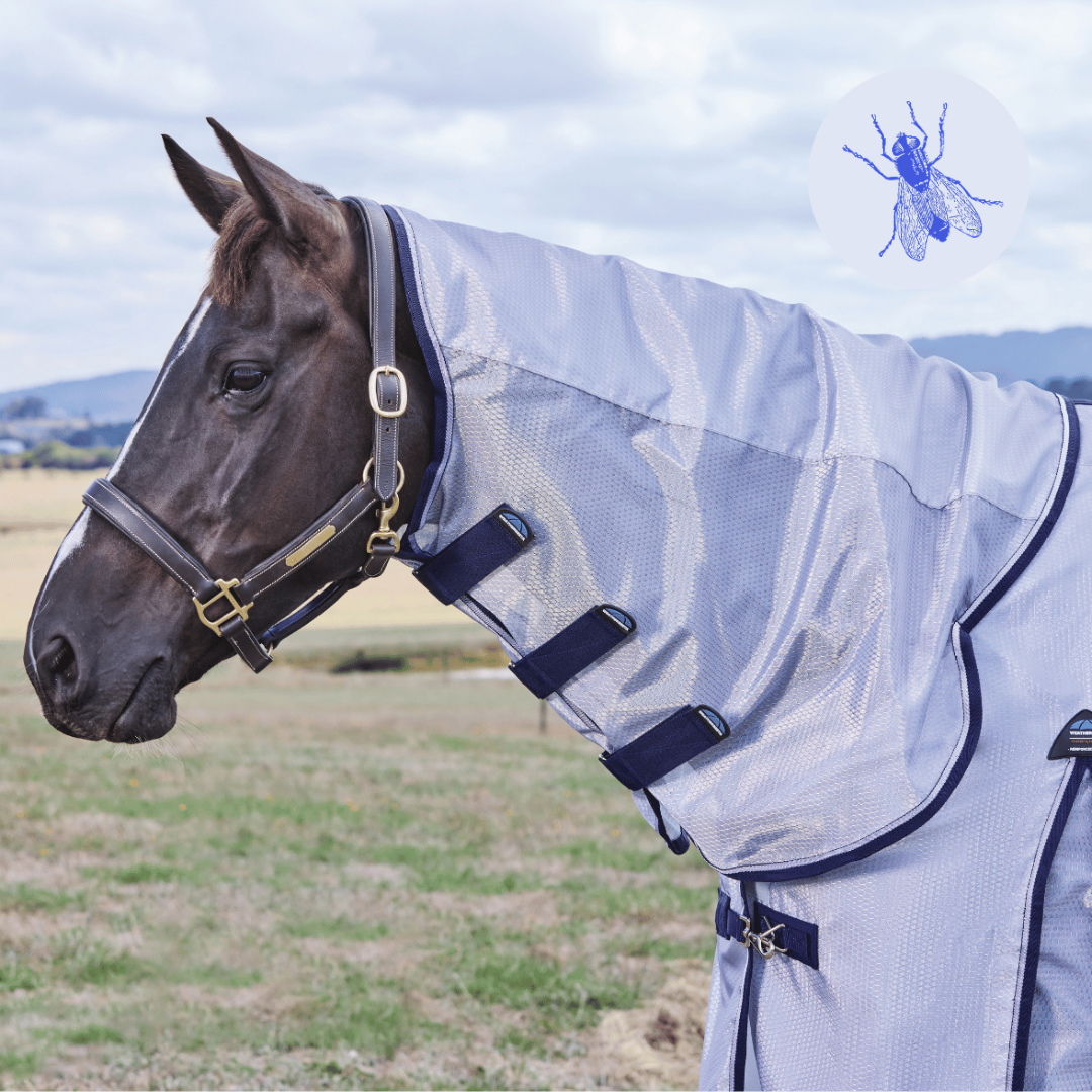 Weatherbeeta Comfitec Hexi Shield Fly Sheet Combo