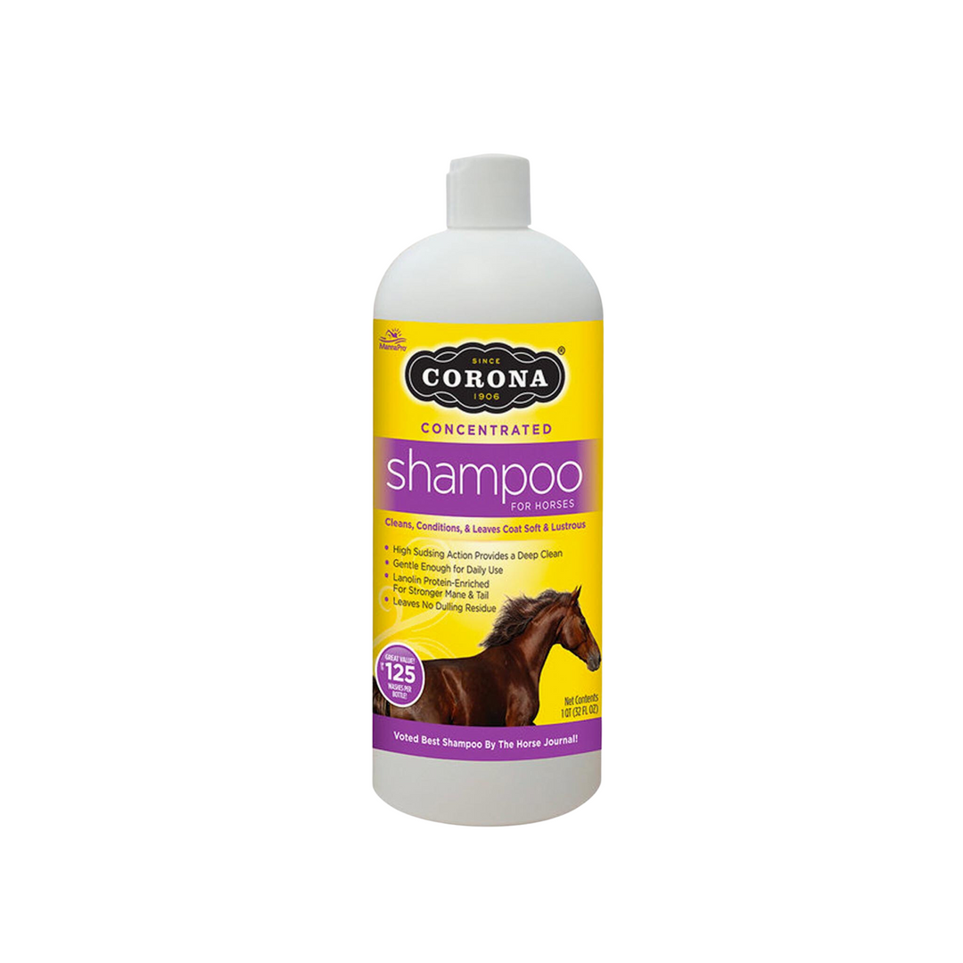 Corona Concentrated Shampoo