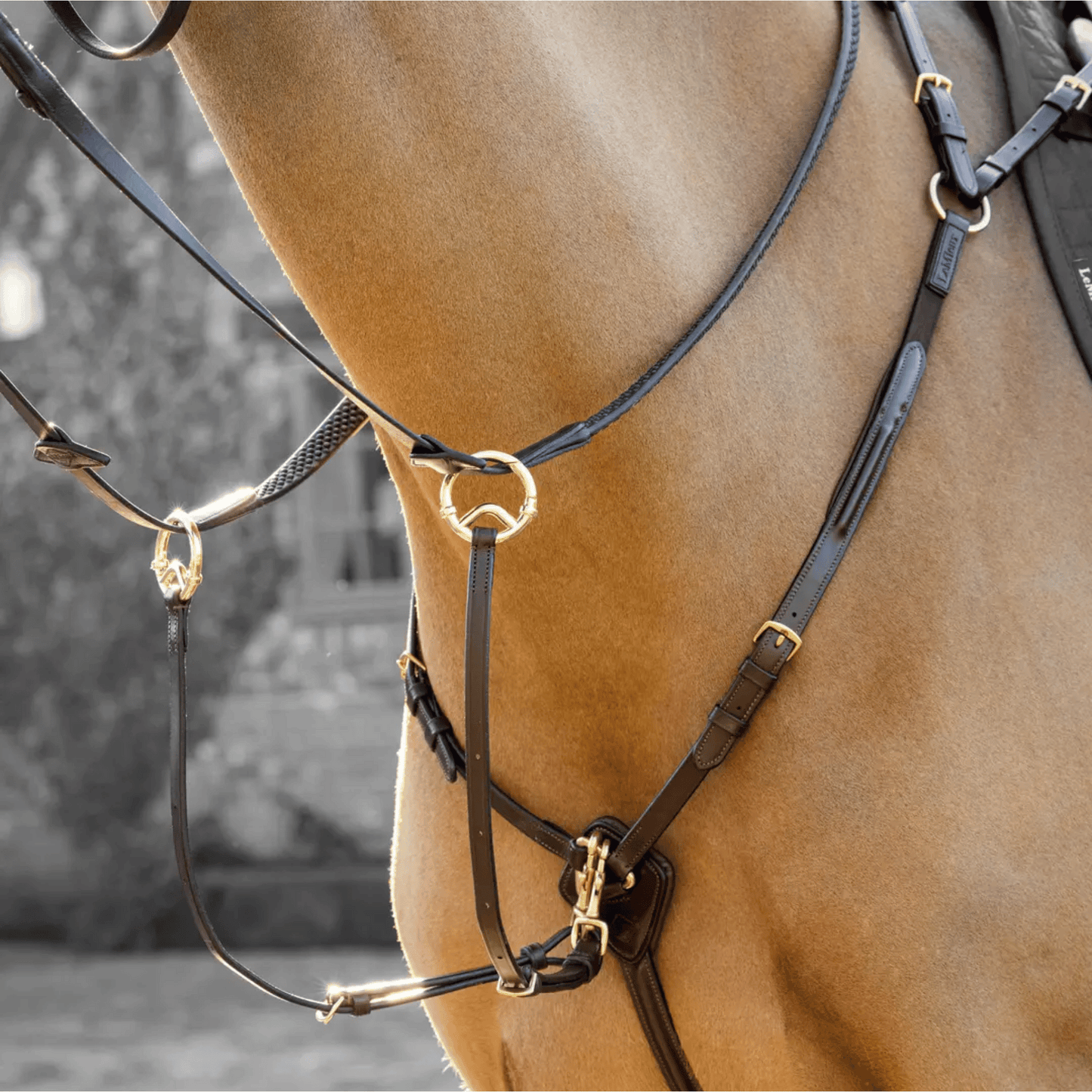 LeMieux Breastplate (D-Ring Attachment)