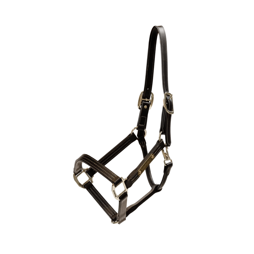 Kentucky Horsewear Wellington Leather Halter