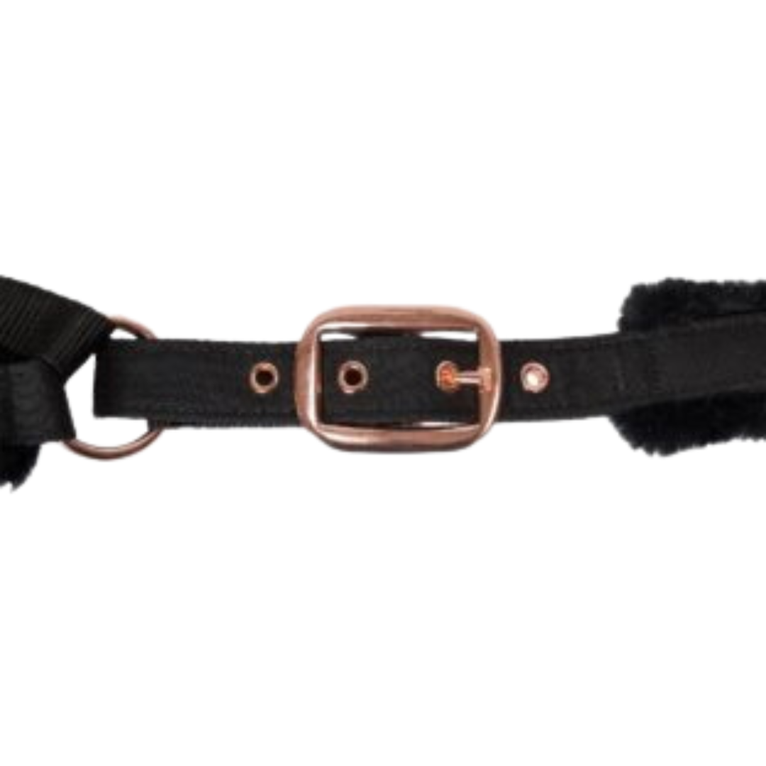 Back on Track Haze Collection Halter