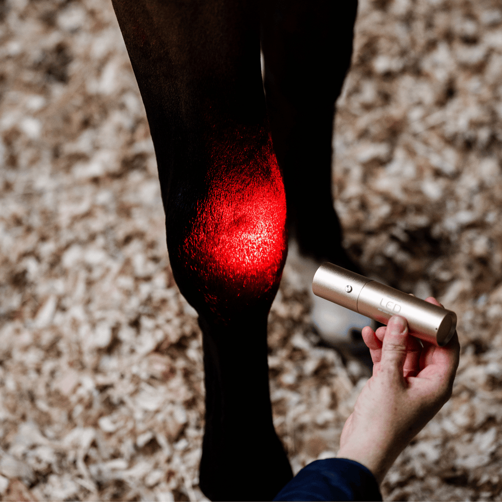 Horseware Ireland LED Red Light Therapy Wand