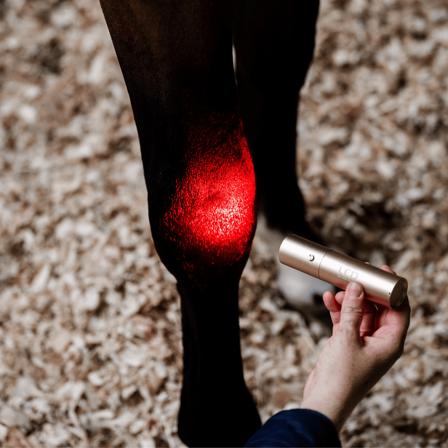 Horseware Ireland LED Red Light Therapy Wand