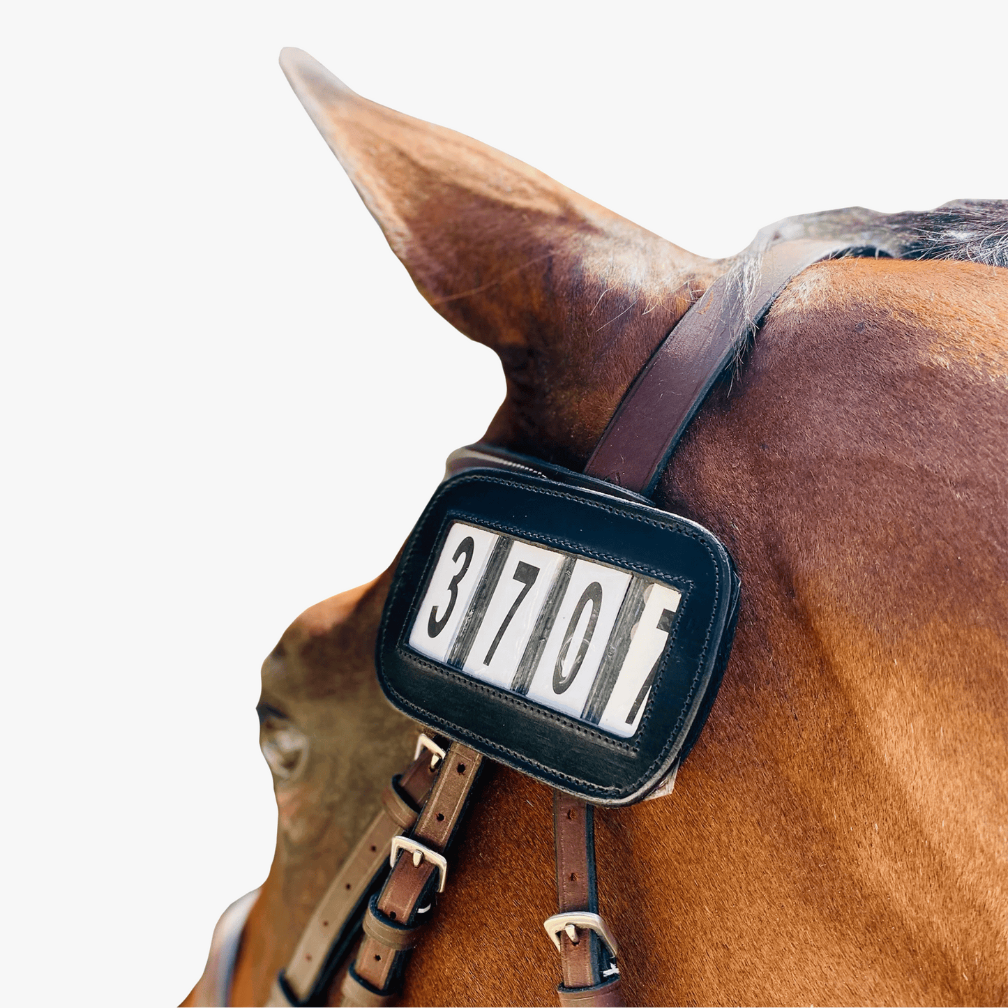 Ace PRO4MANCE Number ID