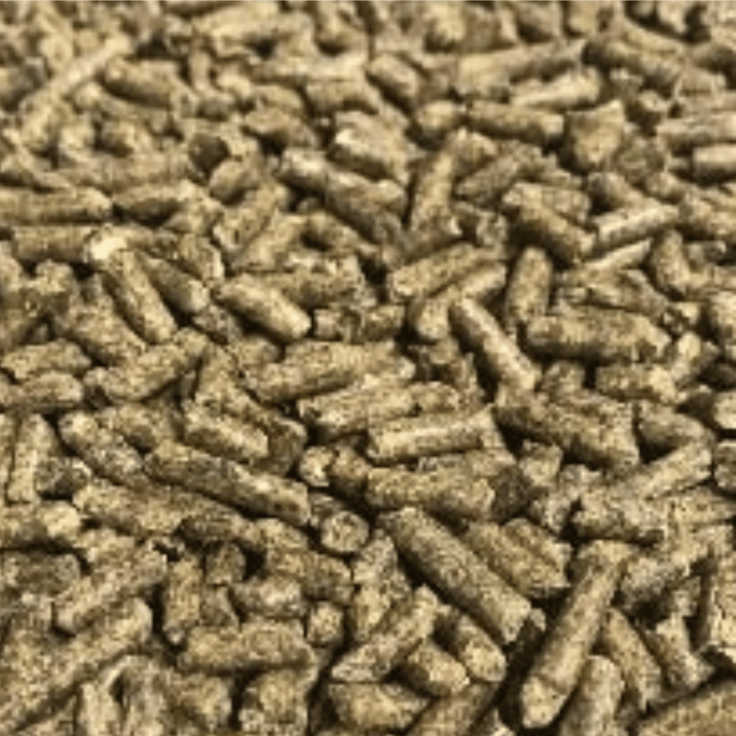 Bluebonnet Lifeline+ Equine