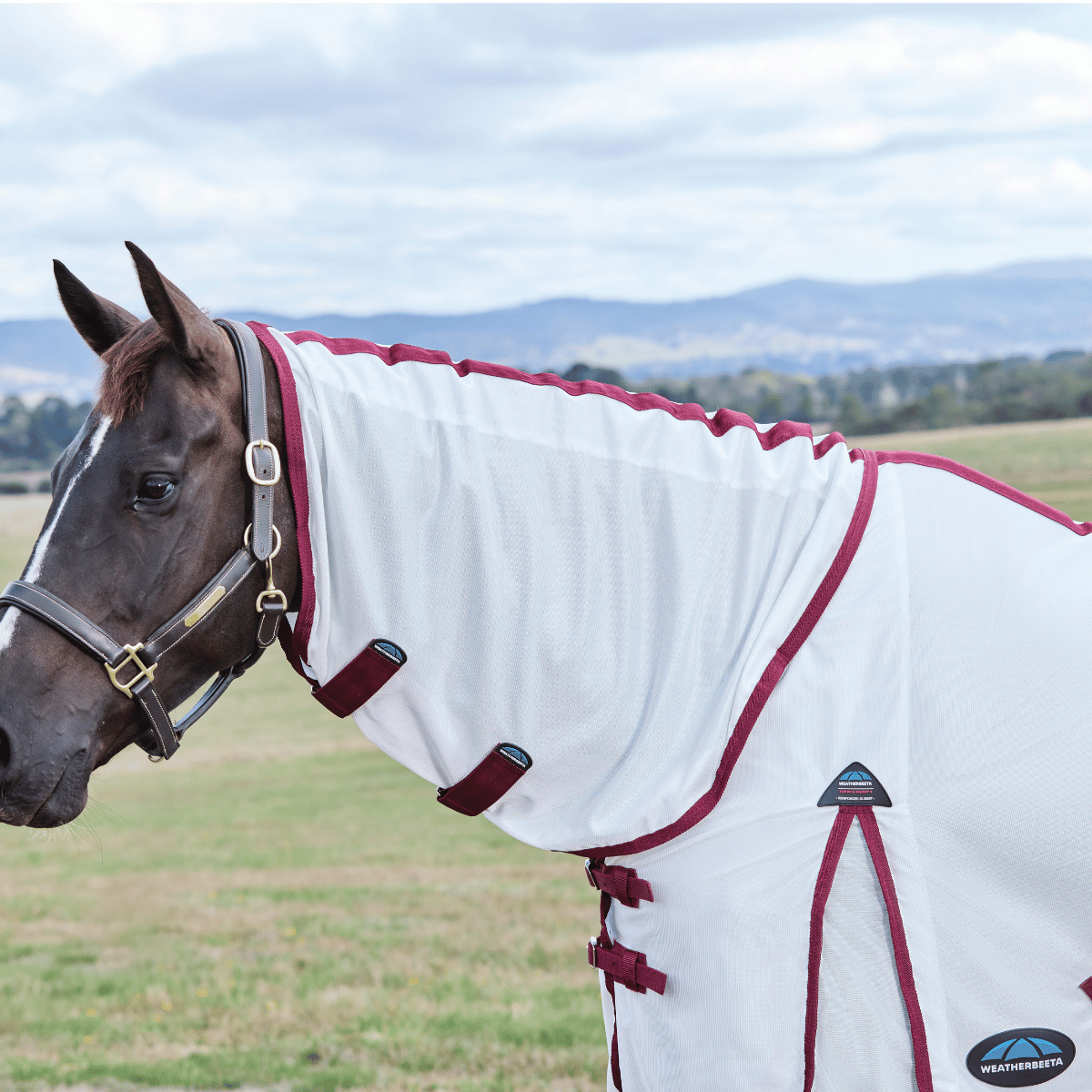 Weatherbeeta Comfitec Essential Sheet Combo Fly Sheet