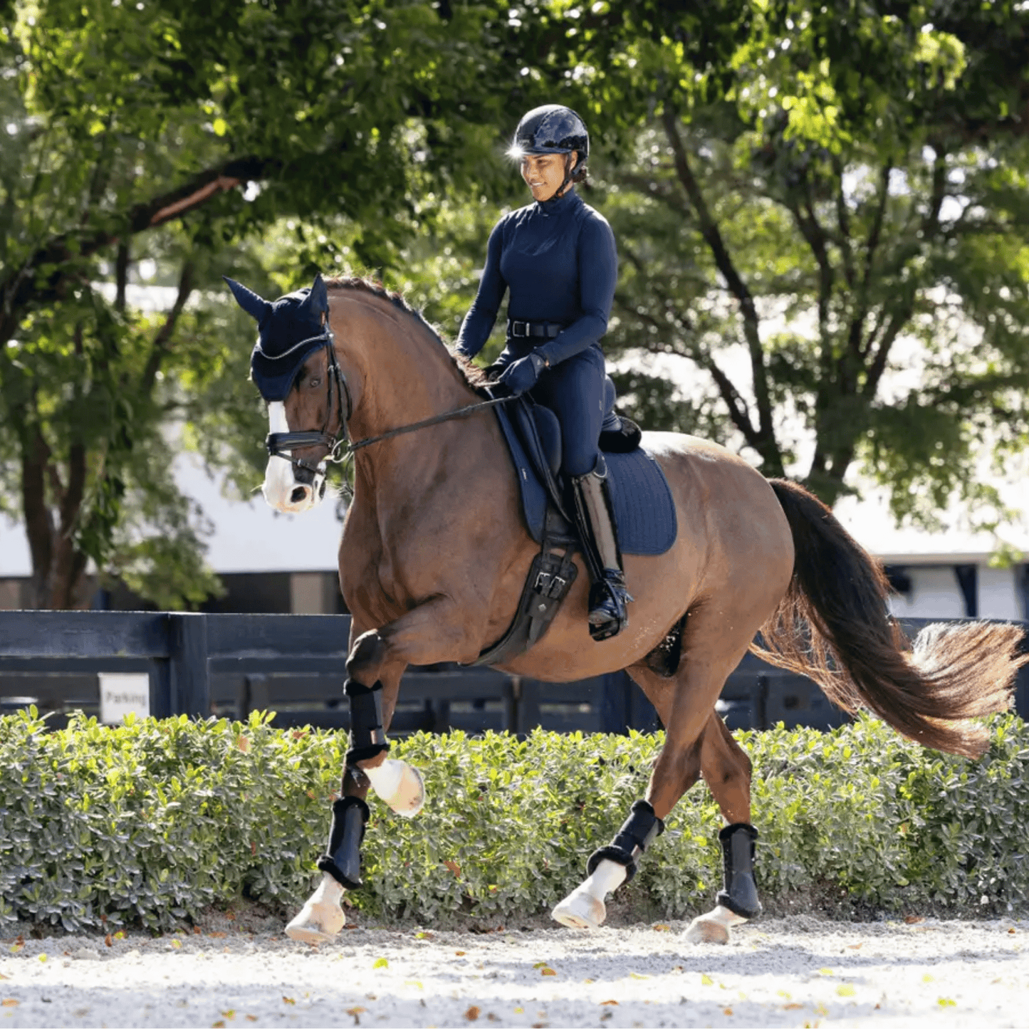 LeMieux Essence Dressage Square Pad