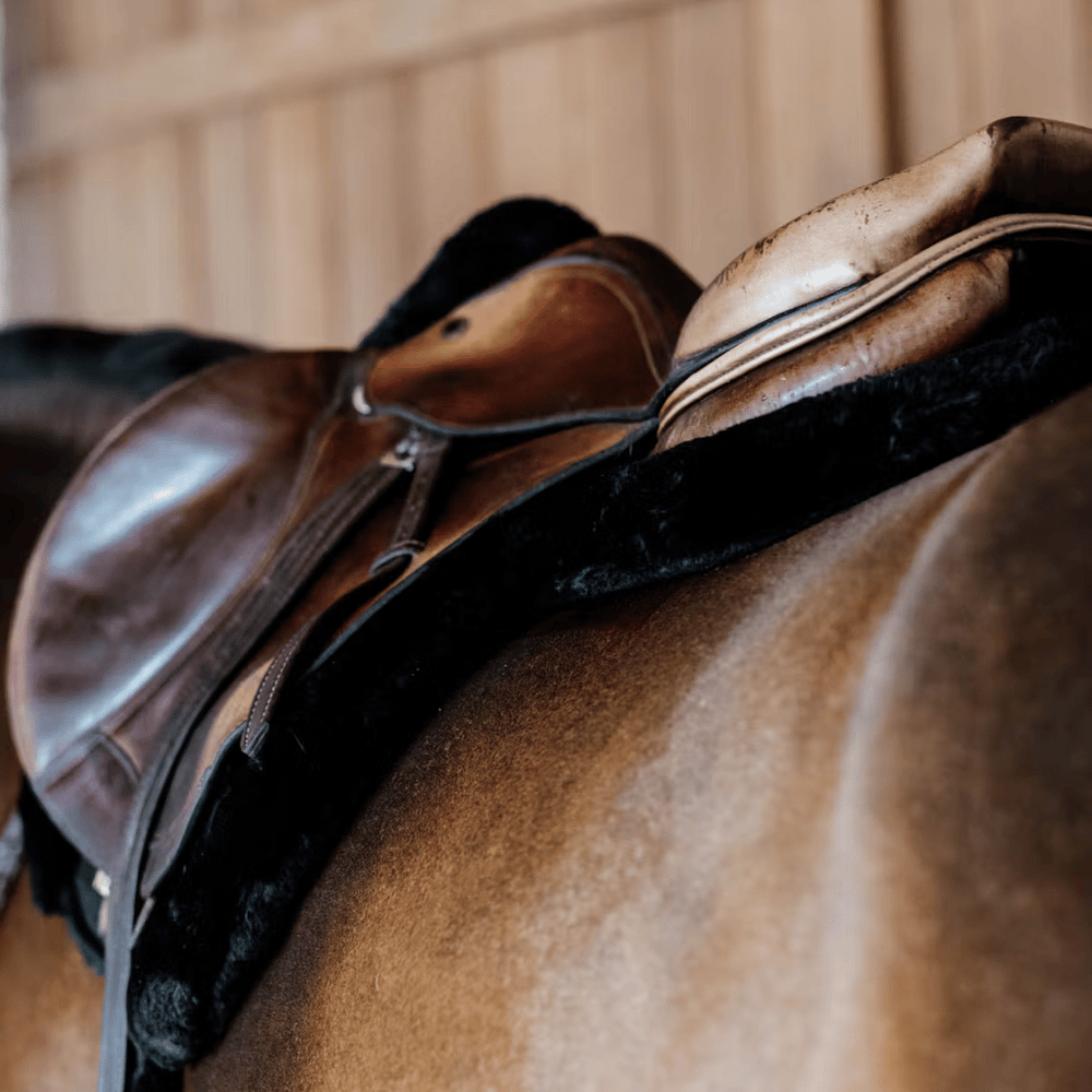 Kentucky Horsewear Hunter Vegan Sheepskin Saddle Pad