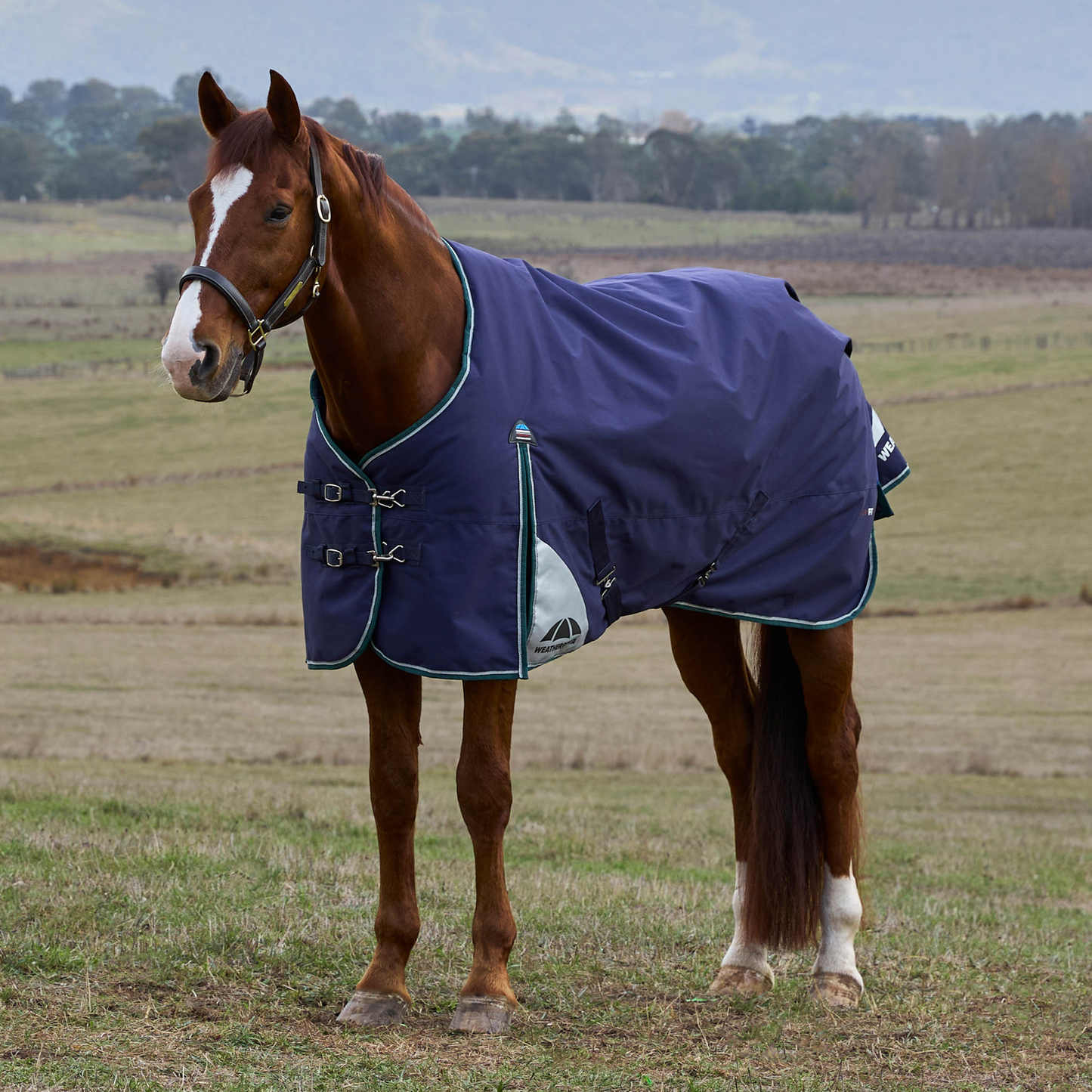 WeatherBeeta ComFiTec Plus Dynamic Turnout Standard Neck 220G