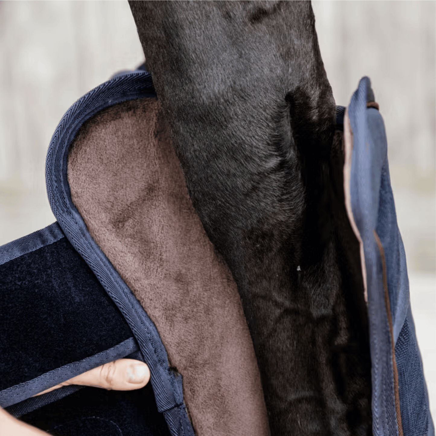 Kentucky Horsewear Travel Boots