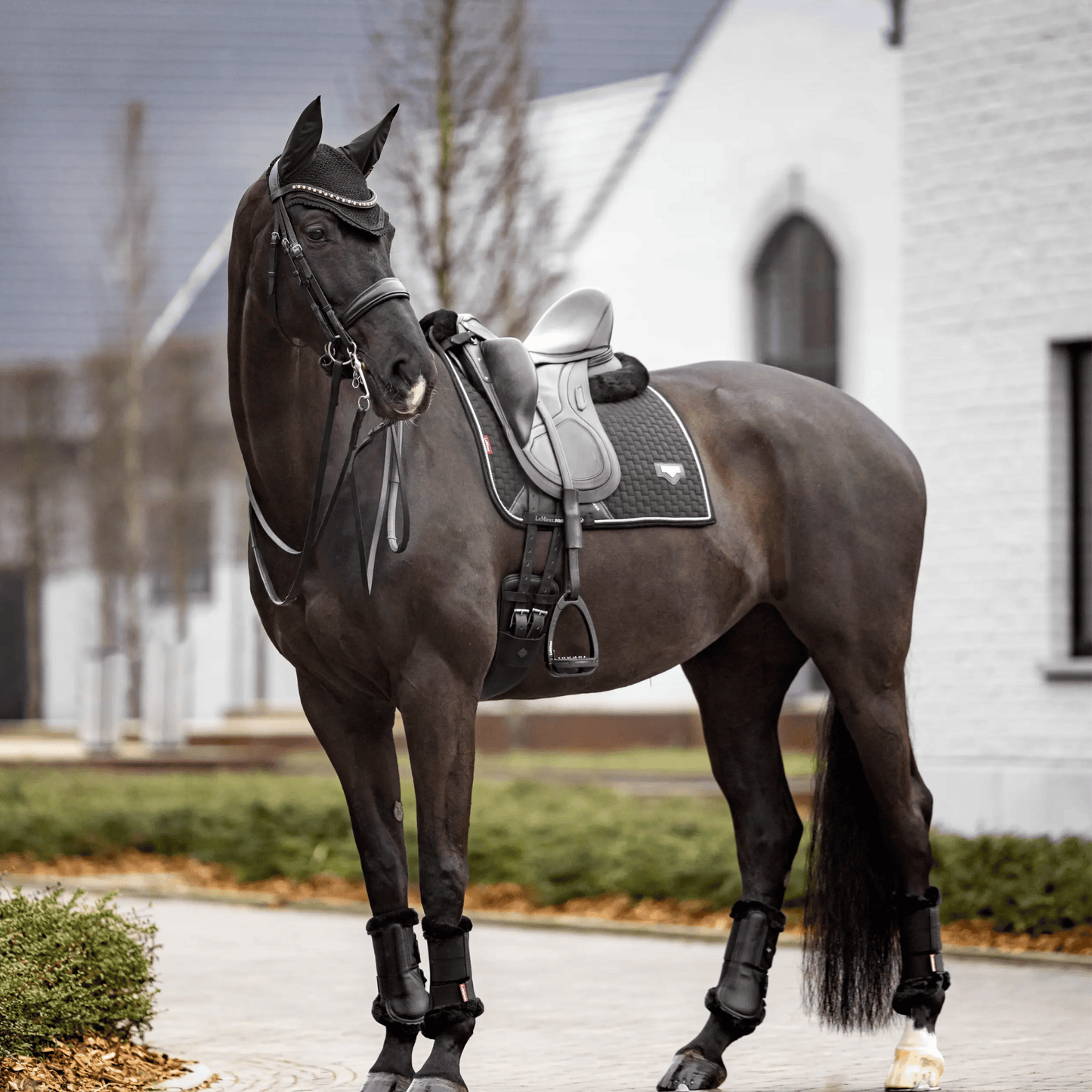 LeMieux Puissance Suede Dressage Pad
