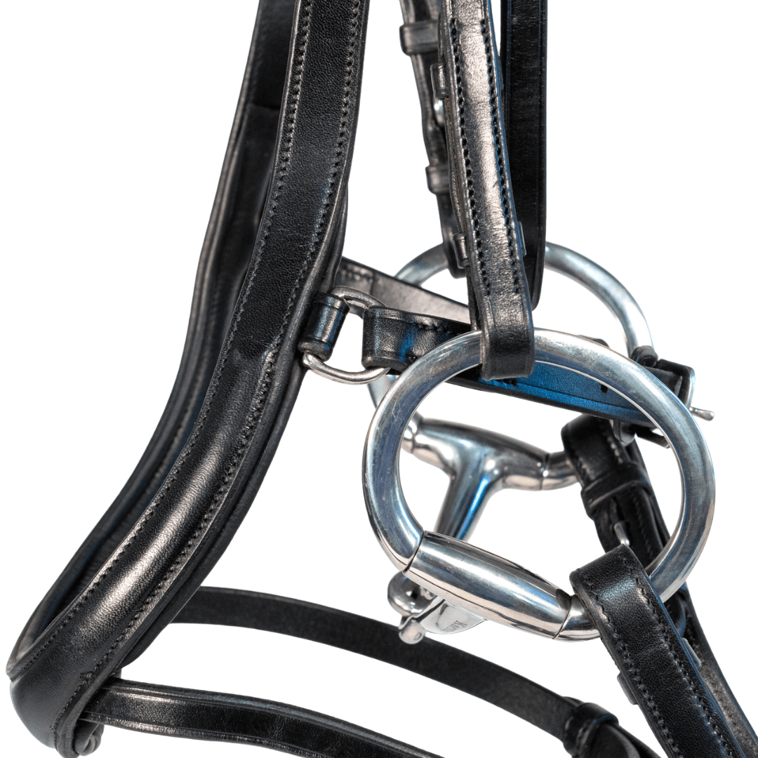Nunn Finer Aformadi Bridle