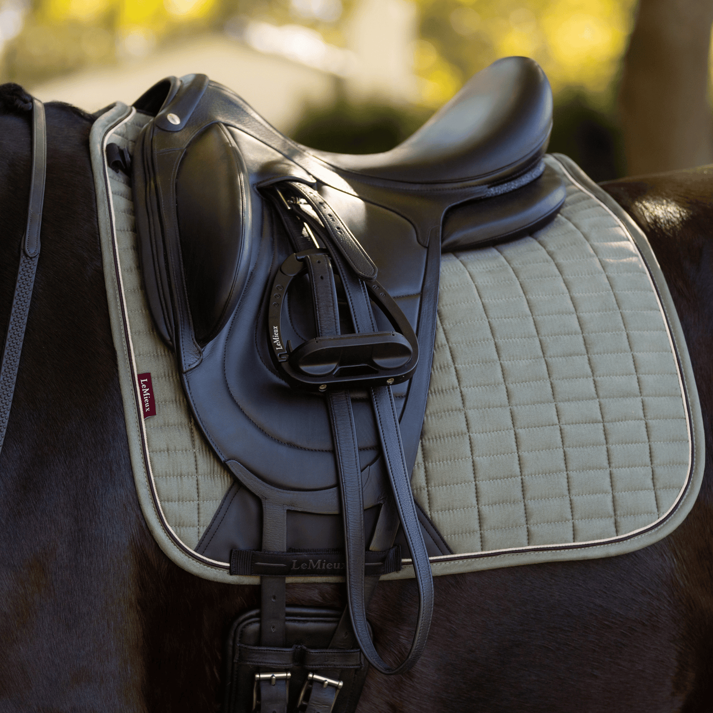 LeMieux Suede Dressage Square Pad