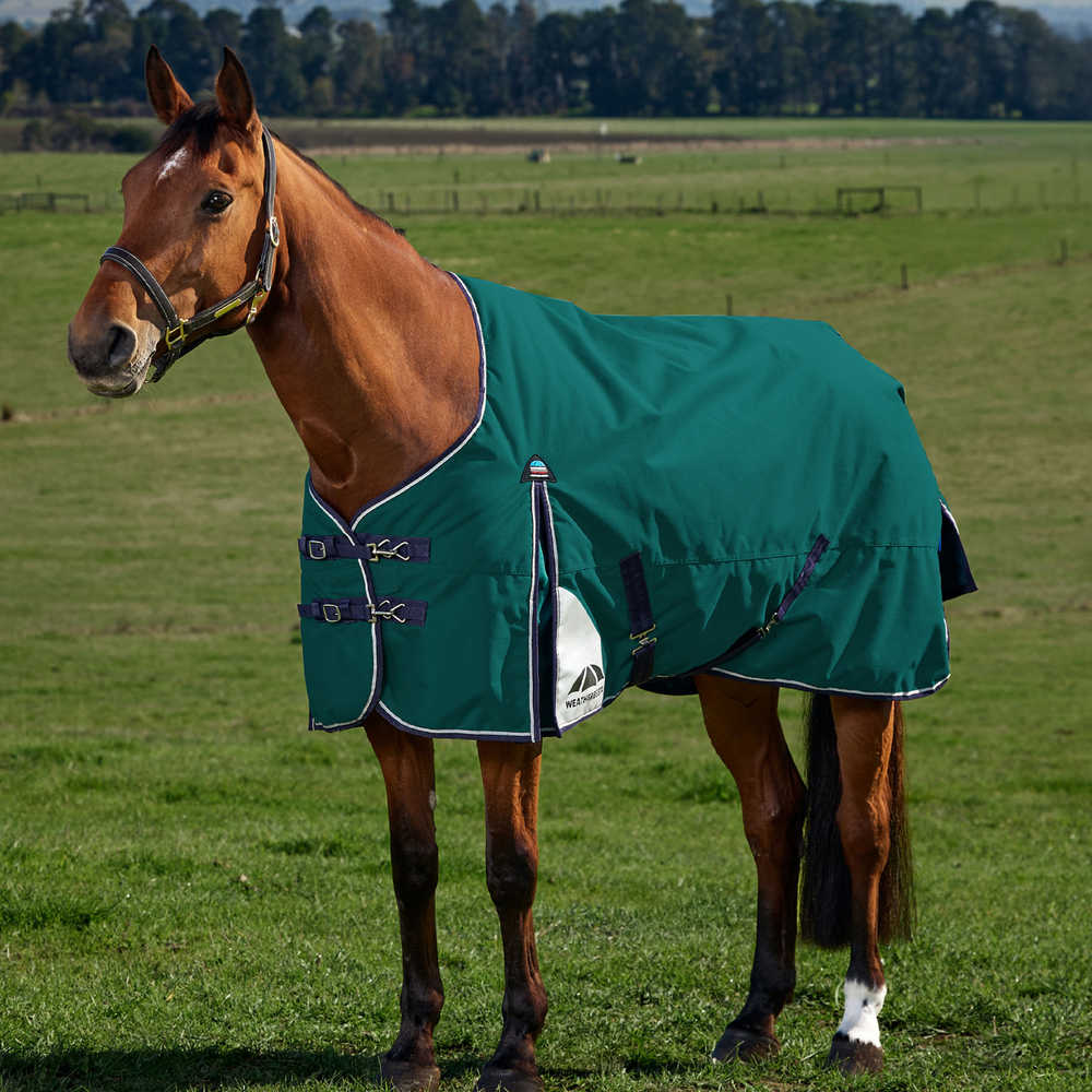 WeatherBeeta ComFiTec Plus Dynamic Turnout Standard Neck 220G