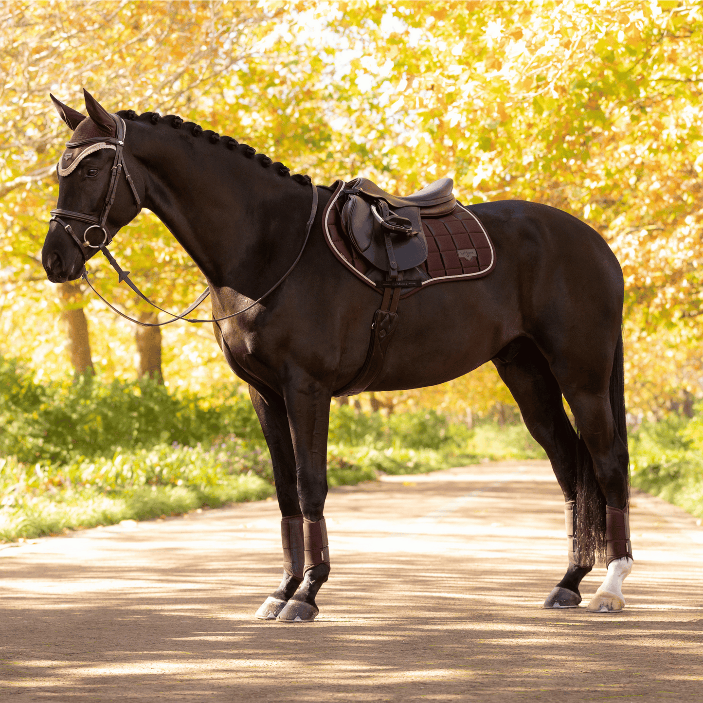 LeMieux Loire Classic Close Contact Square Pad