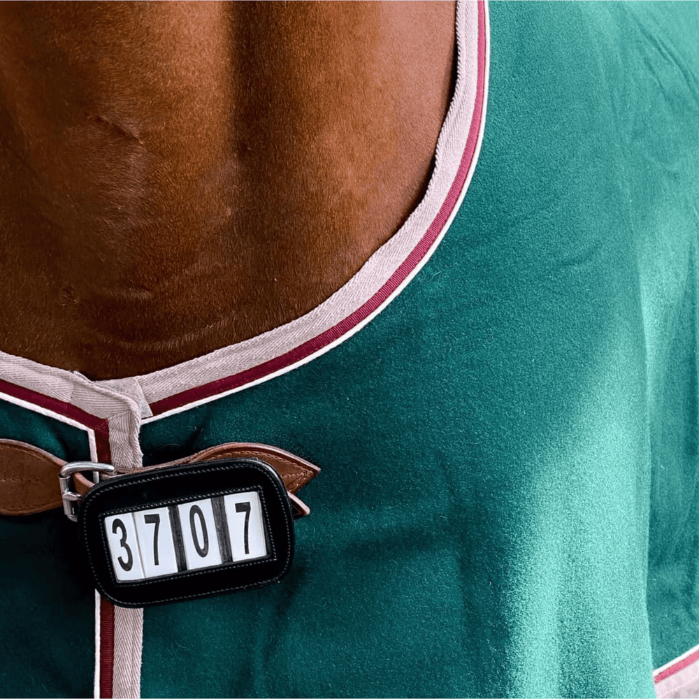 Ace PRO4MANCE Number ID