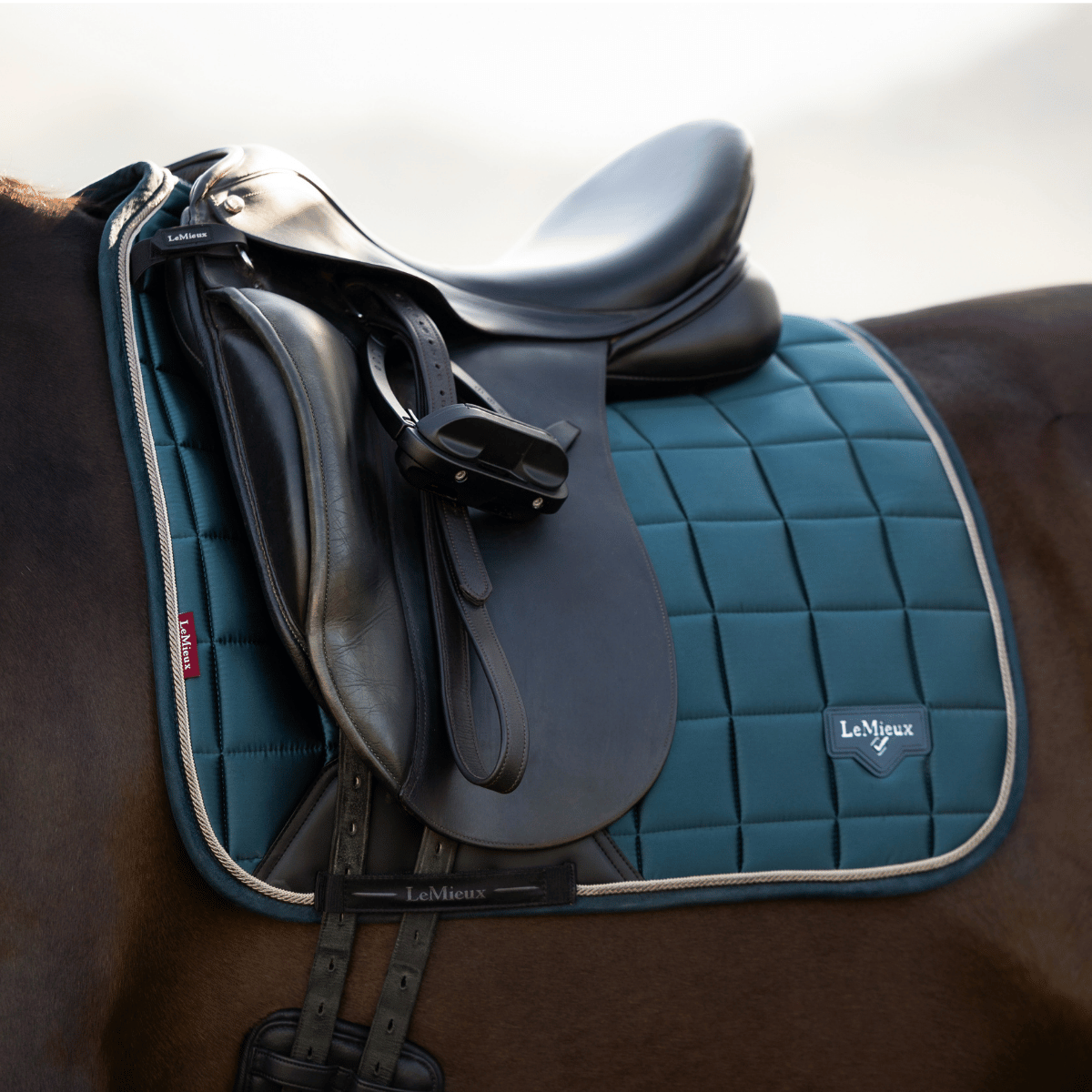 LeMieux Loire Classic Dressage Saddle Pad