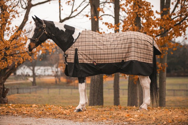 5/A Baker Black Label Turnout Blanket (200g Medium) - Corro