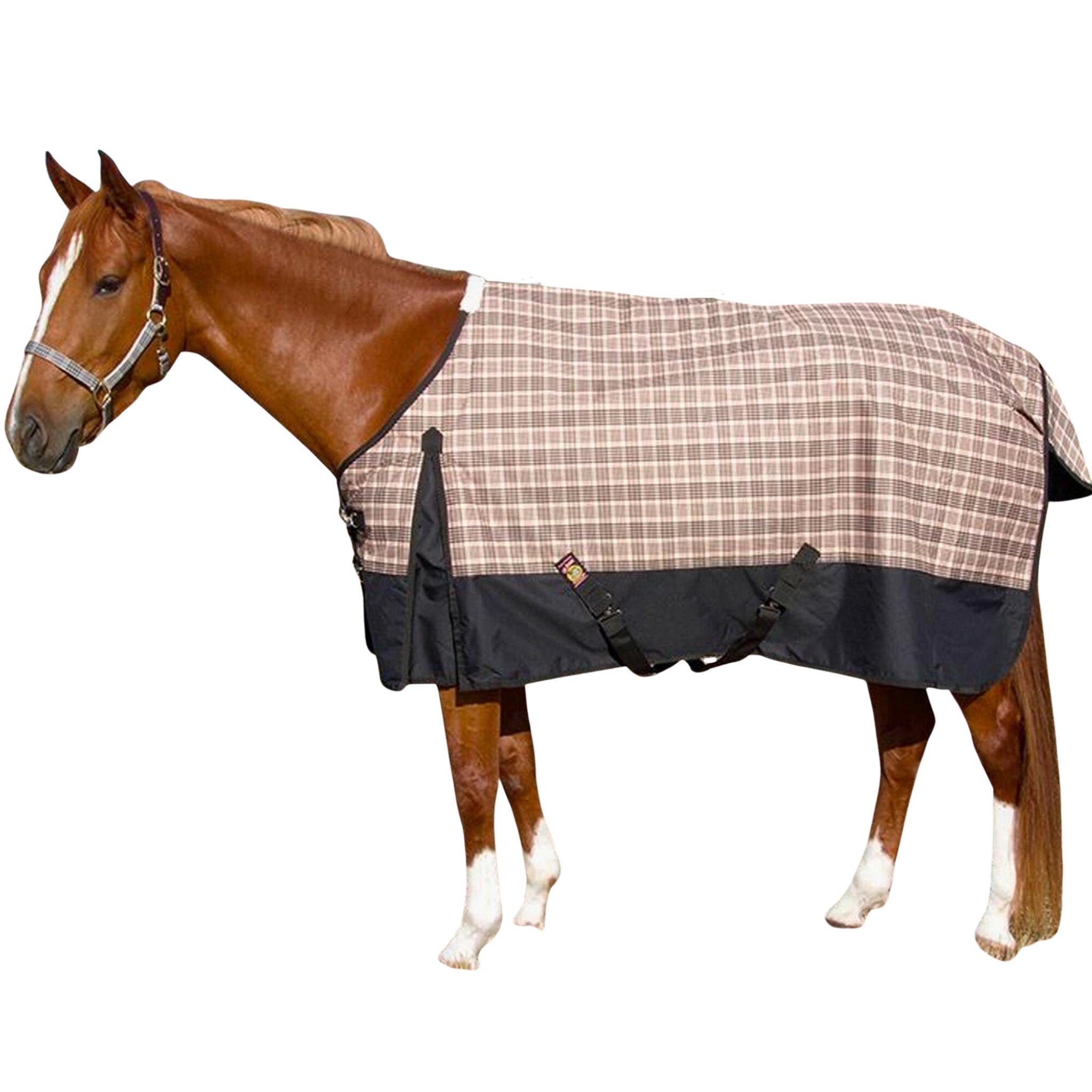 5/A Baker Black Label Turnout Blanket (400g Heavy) - Corro