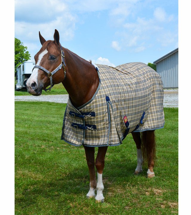 5/A Baker Turnout Blanket (200g Medium) - Corro