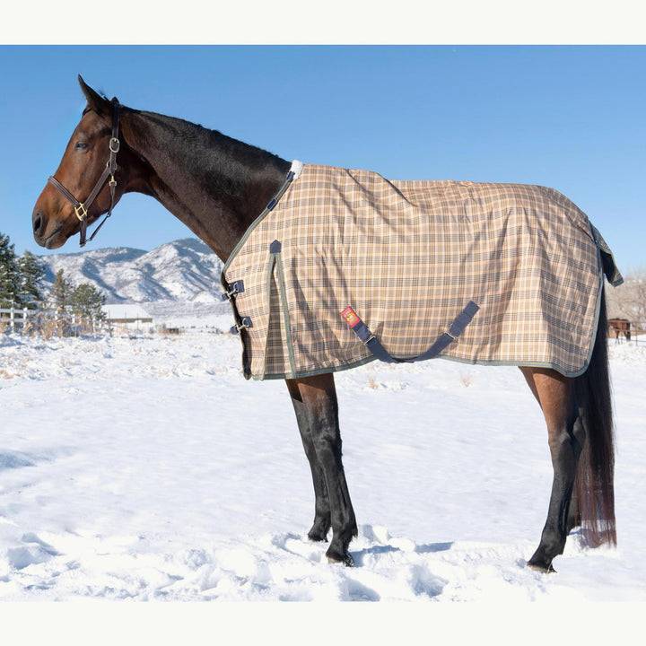 5/A Baker Turnout Blanket (200g Medium) - Corro