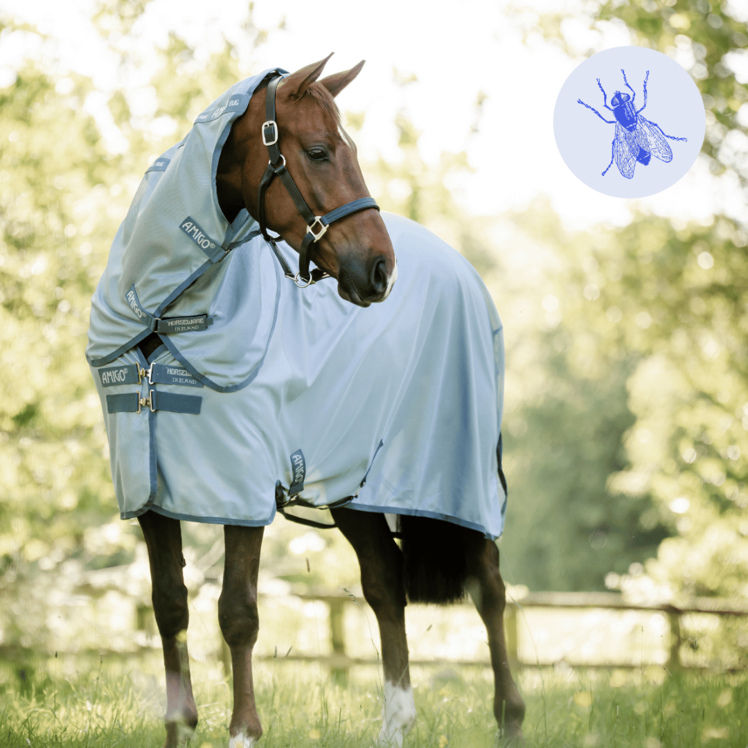 Horseware Ireland Amigo Bug Rug Plus