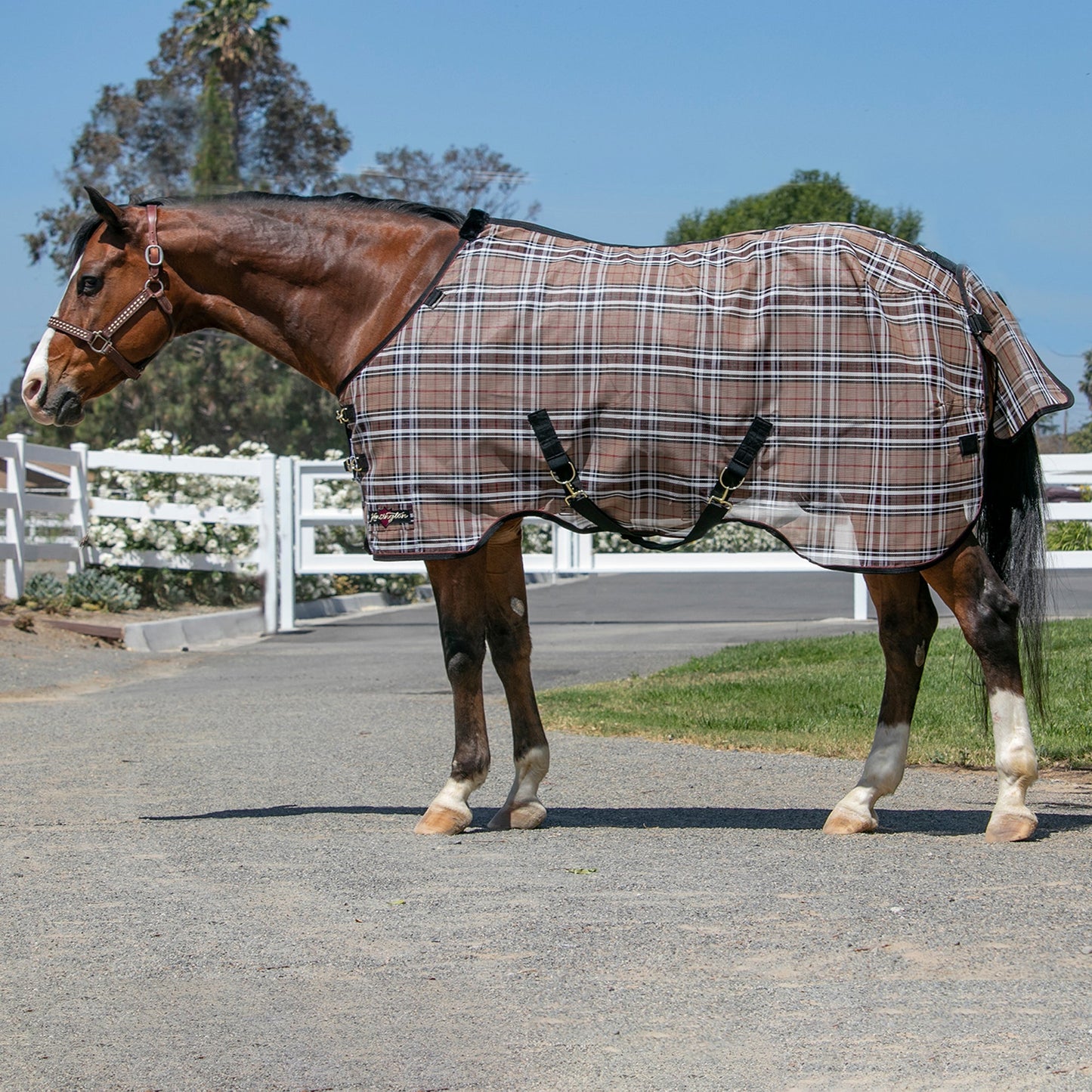 Kensington 73% UV Horse Protective Fly Sheet SureFit® Designed for an ideal Fit