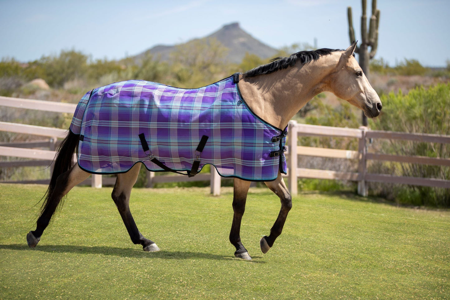Kensington 73% UV Horse Protective Fly Sheet SureFit® Designed for an ideal Fit