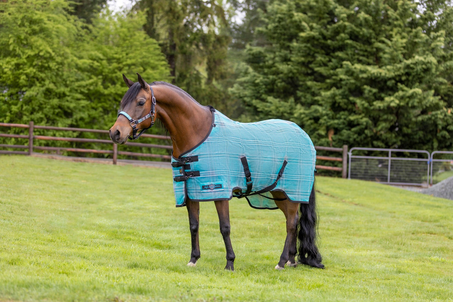 Kensington 73% UV Horse Protective Fly Sheet SureFit® Designed for an ideal Fit