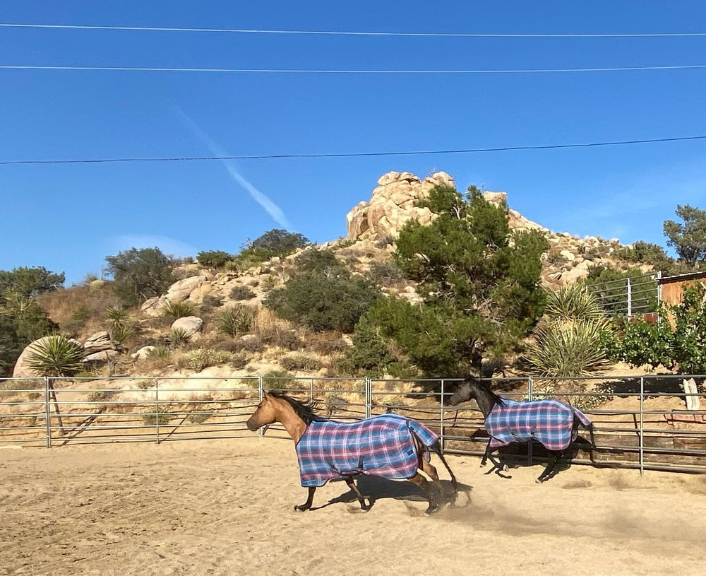 Kensington 73% UV Horse Protective Fly Sheet SureFit® Designed for an ideal Fit