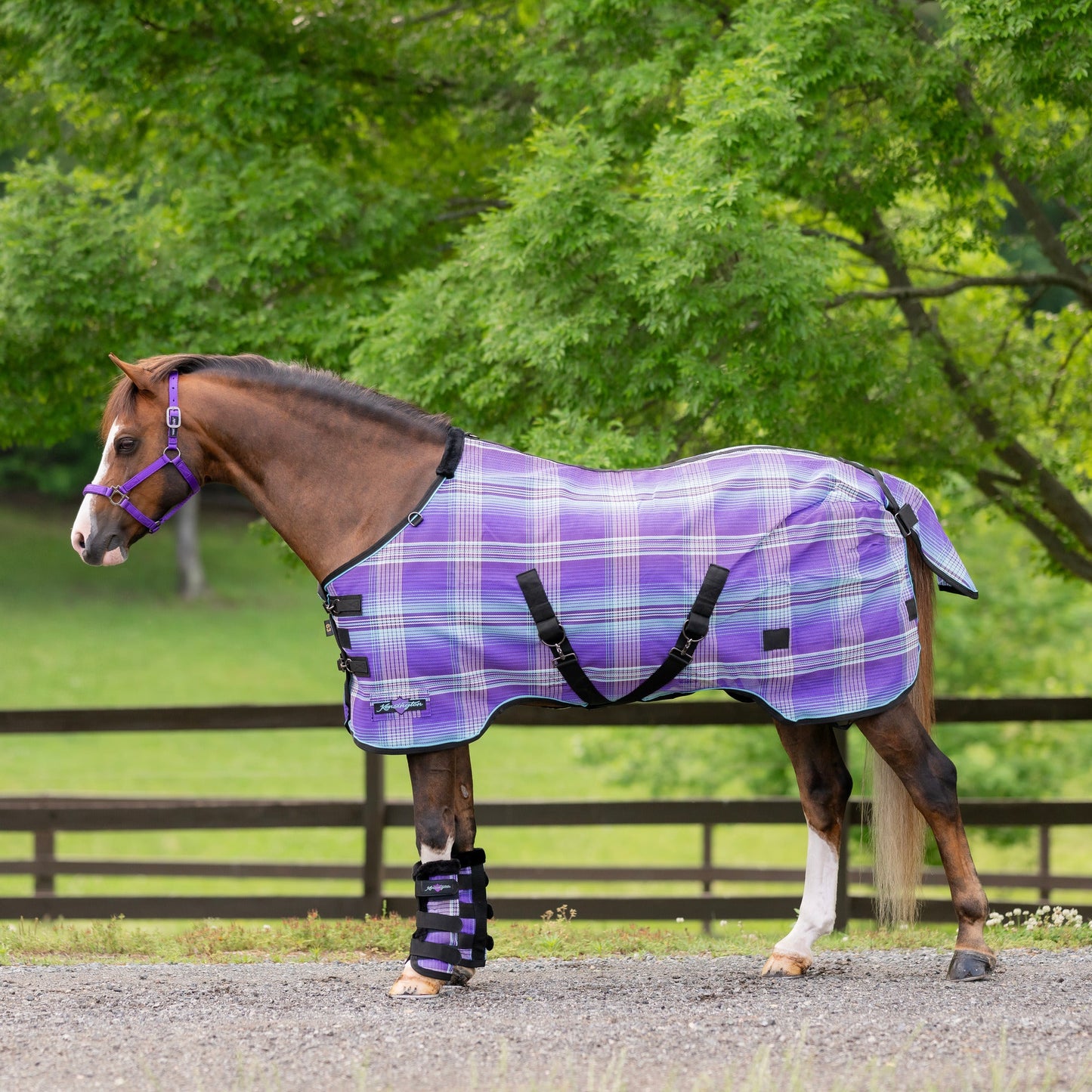 Kensington Pony Protective Fly Sheet with SureFit® - 73% UV Blocking