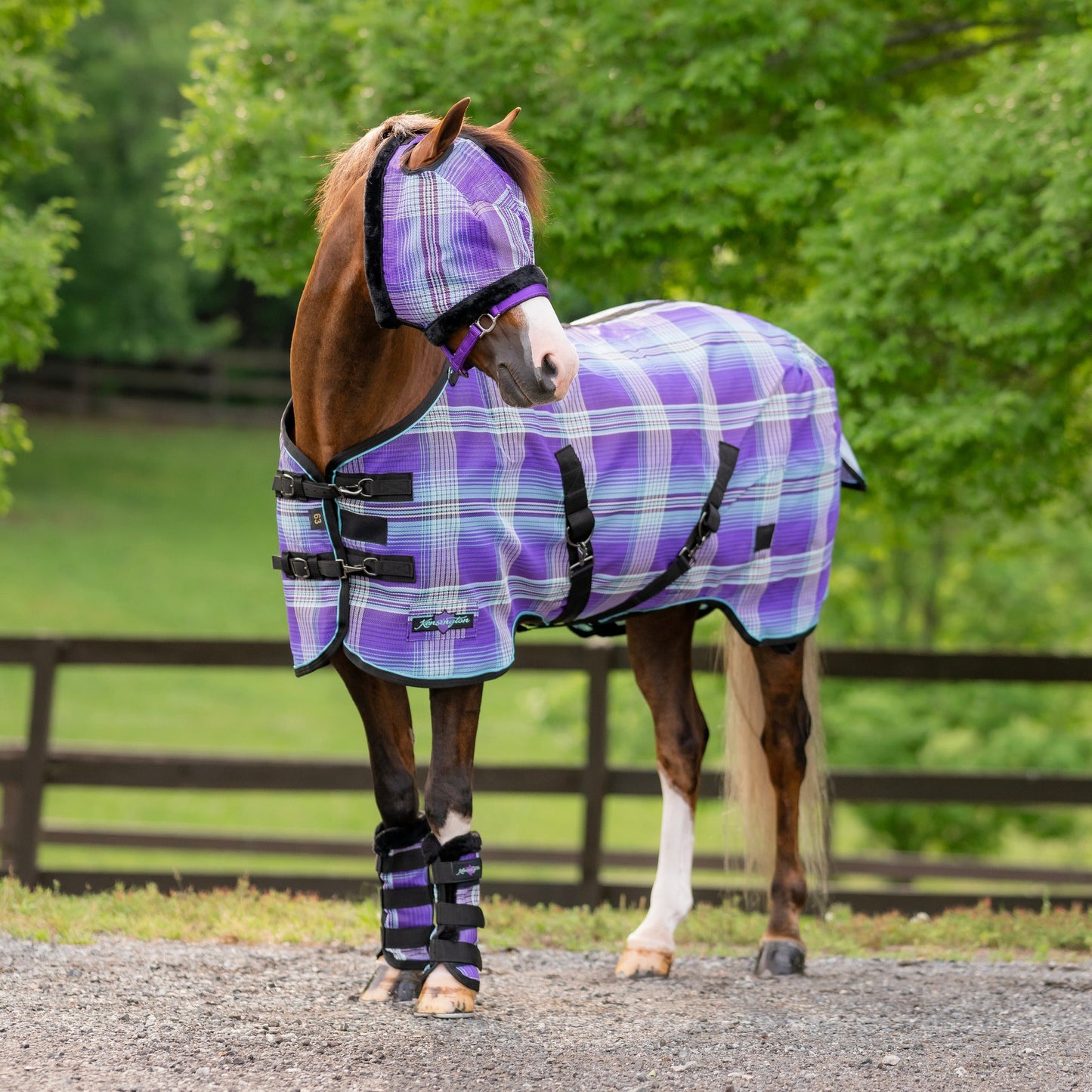 Kensington Pony Protective Fly Sheet with SureFit® - 73% UV Blocking