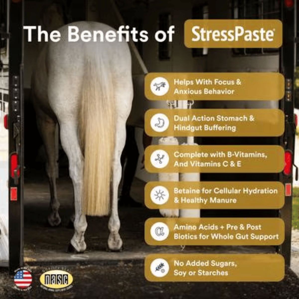 Poseidon Stress Paste