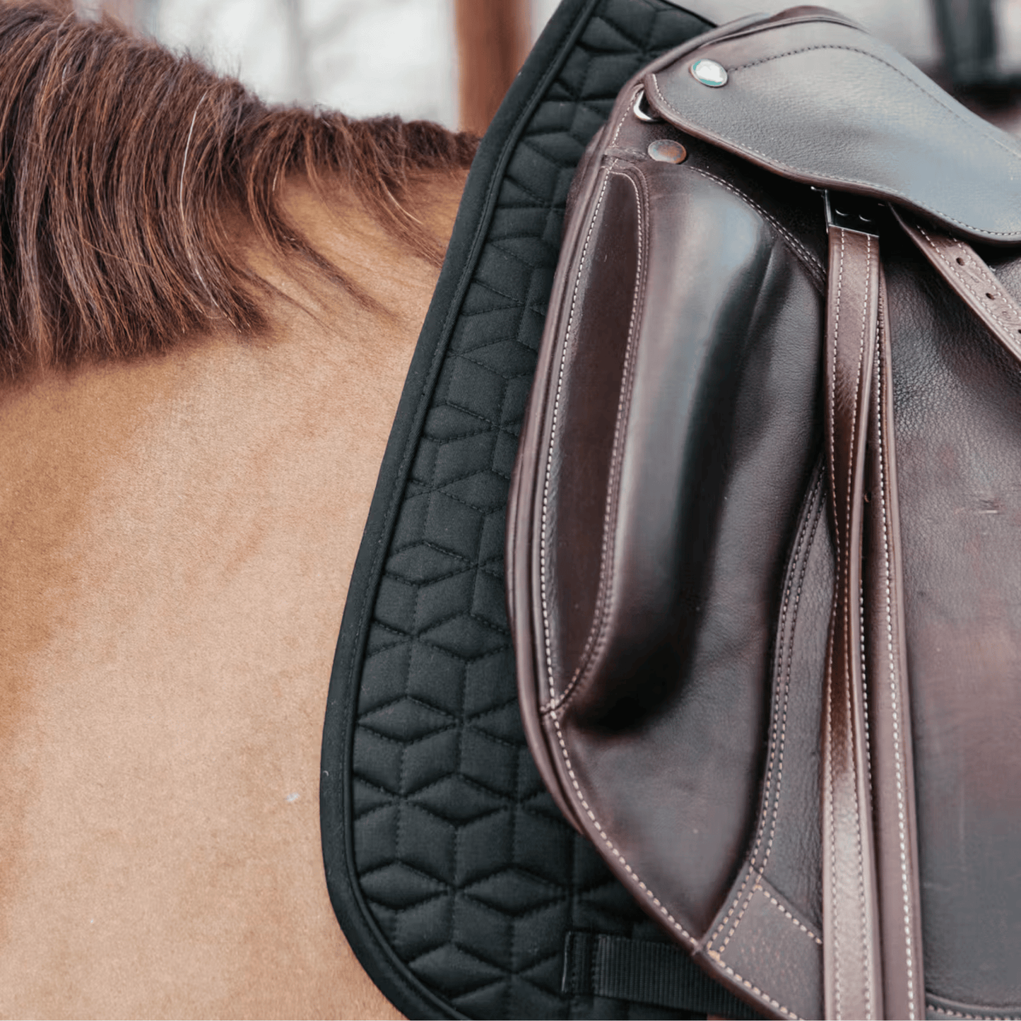 Kentucky Horsewear Dressage Classic Saddle Pad